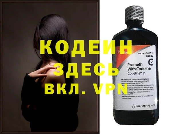 прущие грибы Михайлов