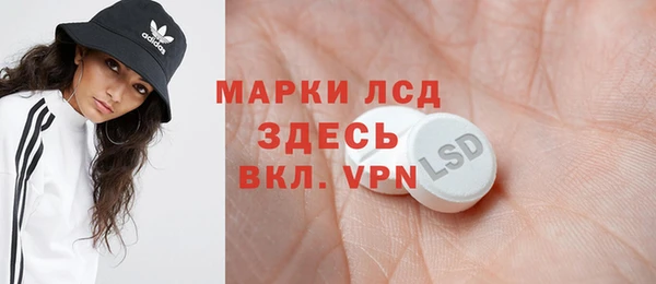 прущие грибы Михайлов
