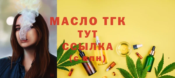 сатива Надым
