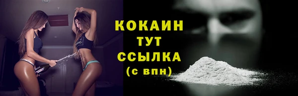 сатива Надым