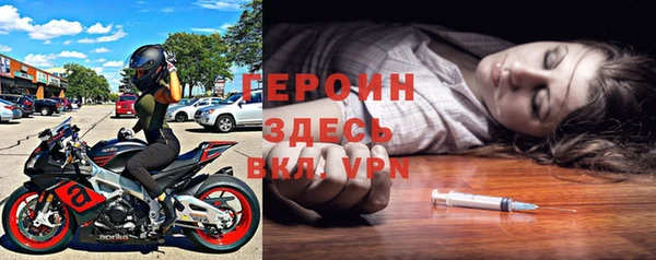 прущие грибы Михайлов