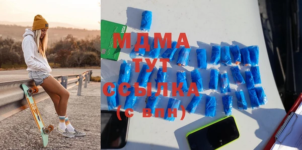прущие грибы Михайлов